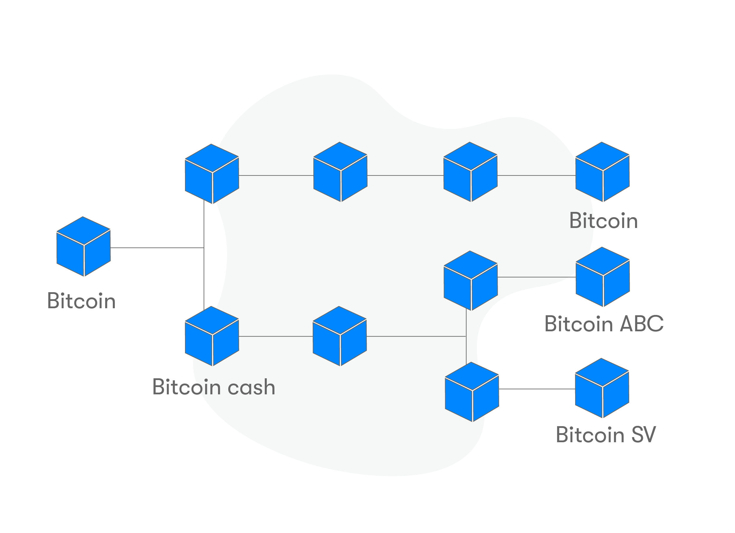 Uber Bitcoin Cash | Bitcoin cash 32mb blocks Uber Bitcoin Cash -