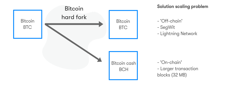 Everything You Need To Know About Har!   d Forks Btc Direct - 